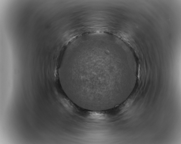 X0000087370380200704271459