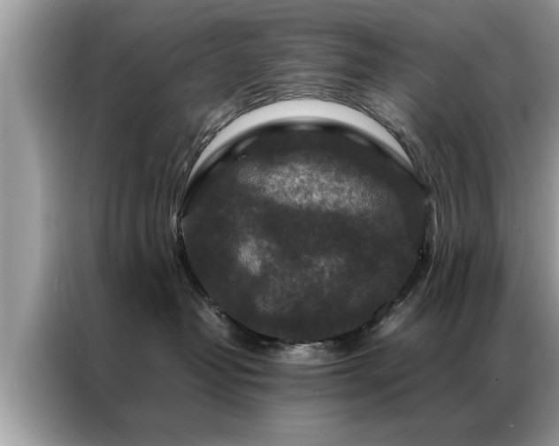 X0000087370382200704271459