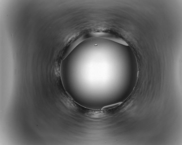 X0000087370384200704271459