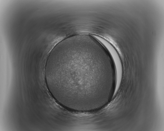 X0000087370385200704271459