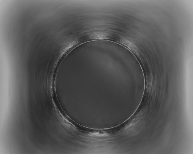X0000087370386200704271459