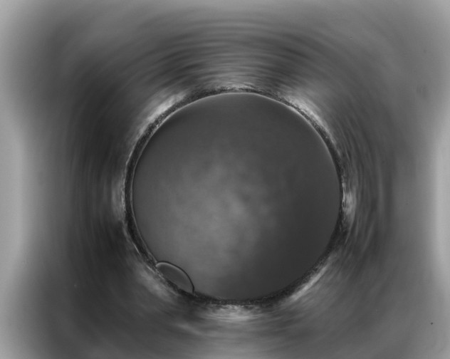 X0000087370390200704271459
