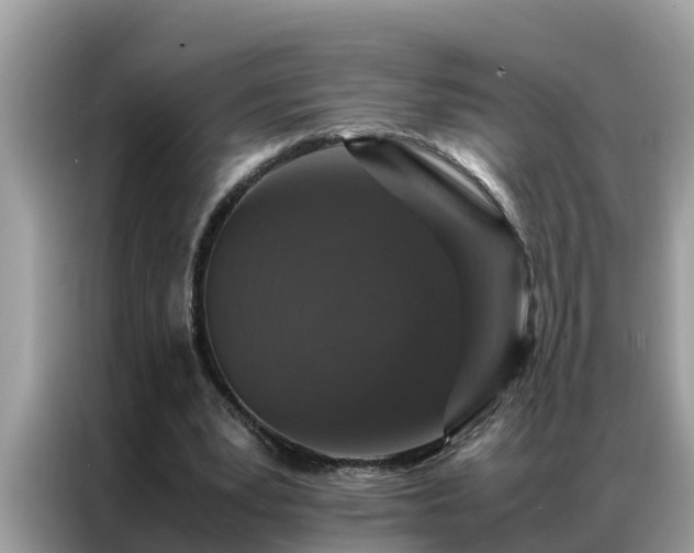X0000087370391200704271459