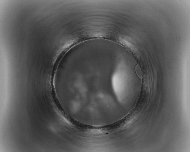 X0000087370394200704271458