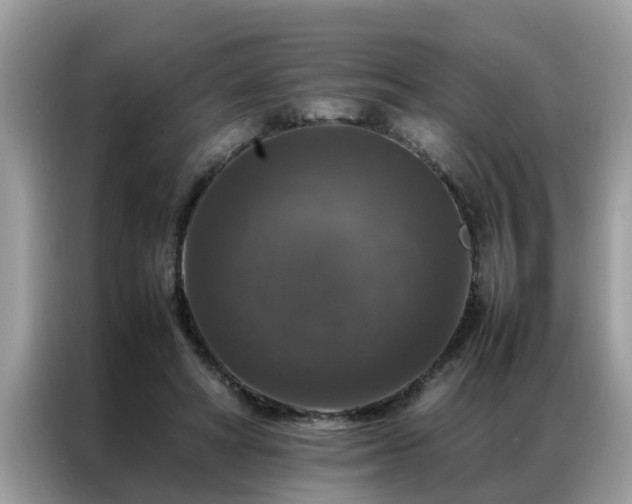 X0000087370402200704271458