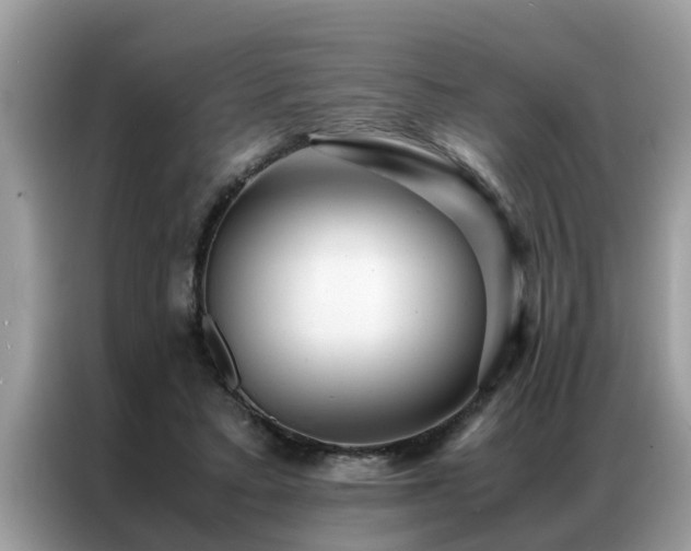 X0000087370403200704271458