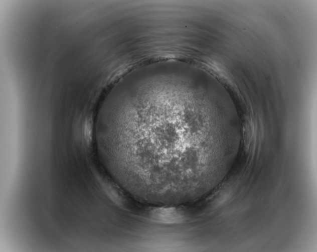X0000087370406200704271458