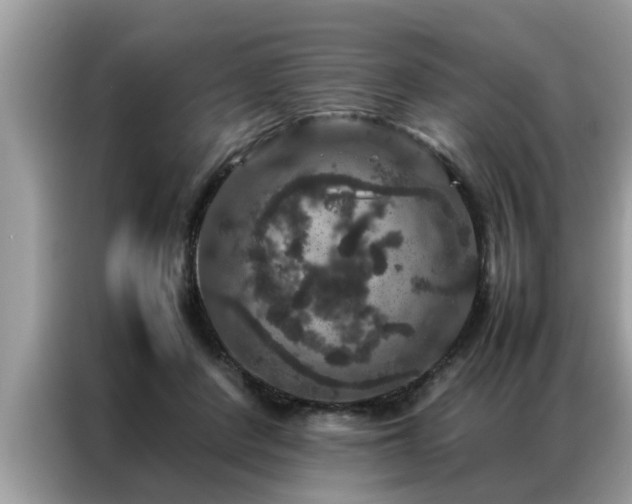 X0000087370408200704271458