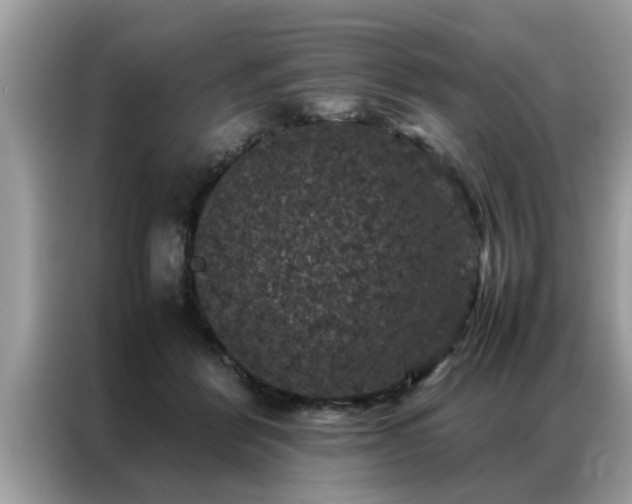 X0000087370412200704271458