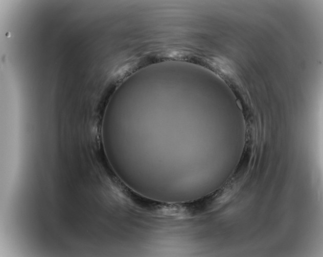 X0000087370415200704271458