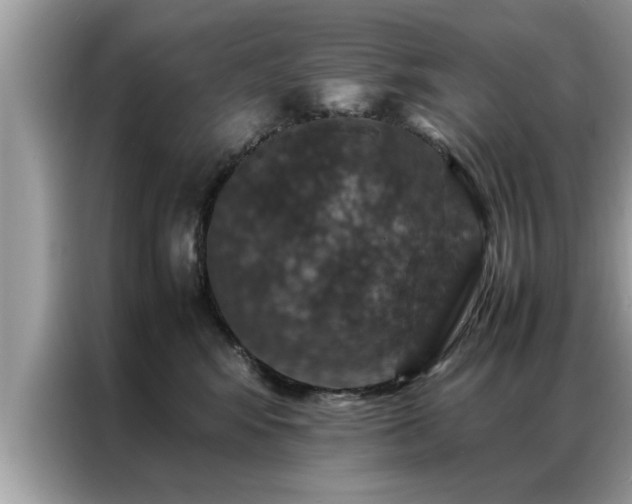 X0000087370424200704271458
