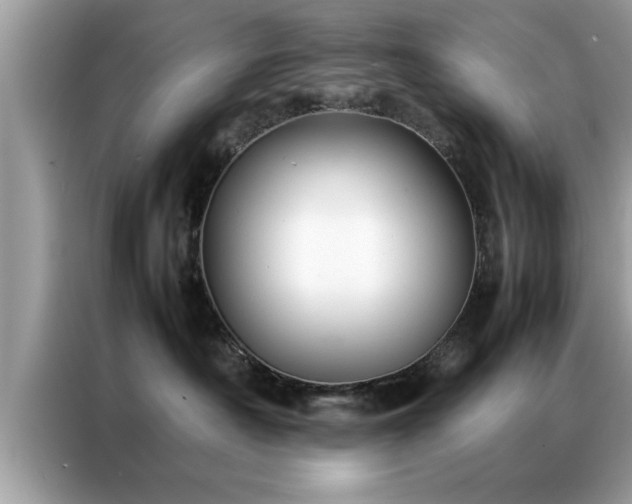 X0000087370430200704271458