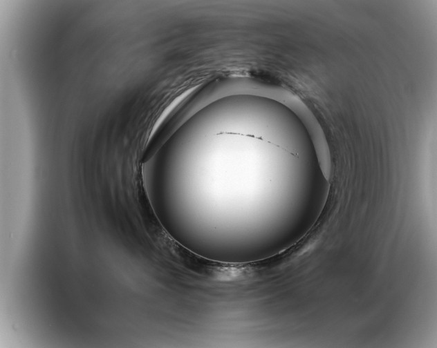 X0000087370432200704271458