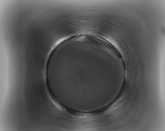 X0000087370438200704271458