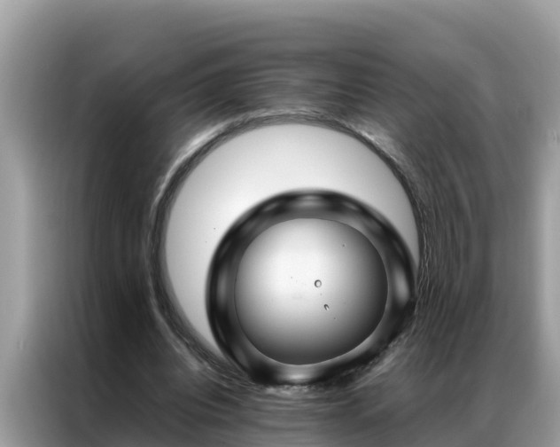 X0000087370440200704271458