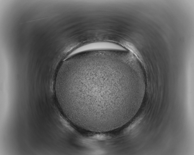 X0000087370441200704271458