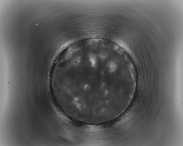 X0000087370442200704271458