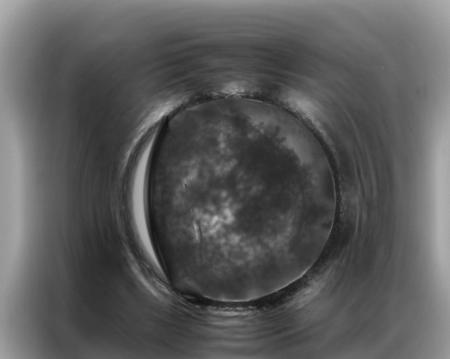 X0000087370443200704271458