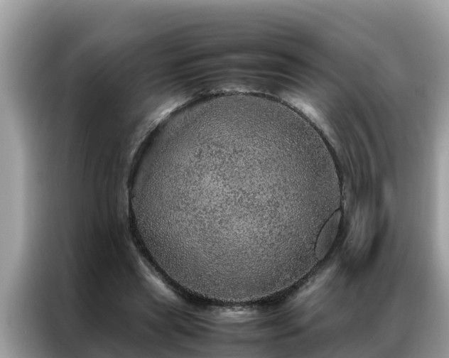 X0000087370445200704271458