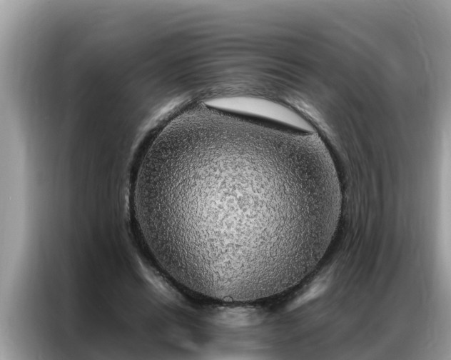 X0000087370446200704271458