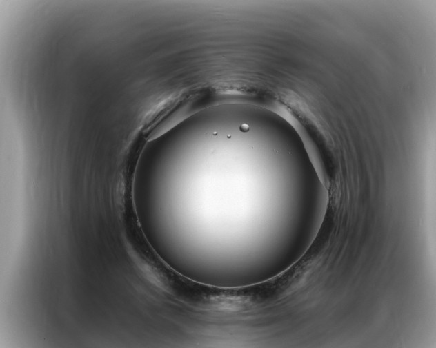 X0000087370448200704271458