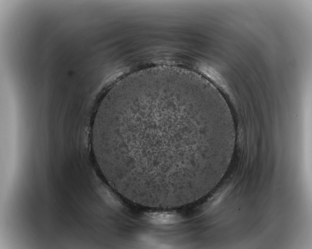 X0000087370449200704271458