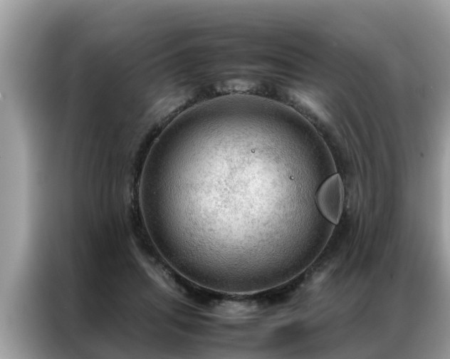X0000087370455200704271458