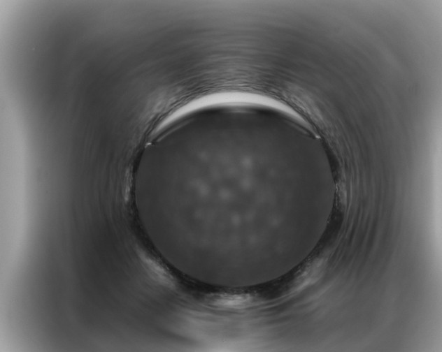 X0000087370458200704271458