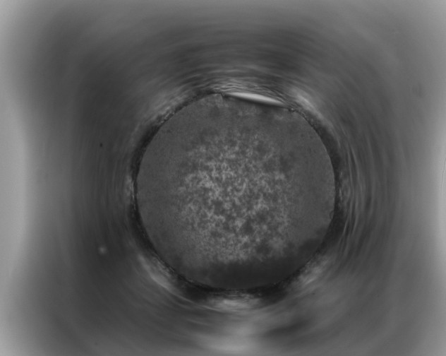 X0000087370459200704271458