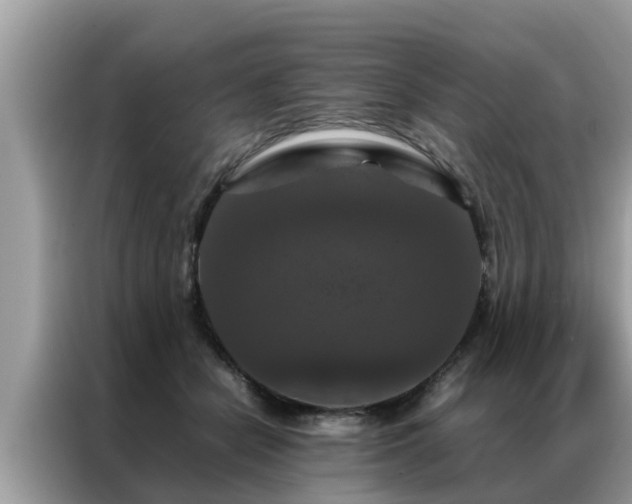 X0000087370462200704271458