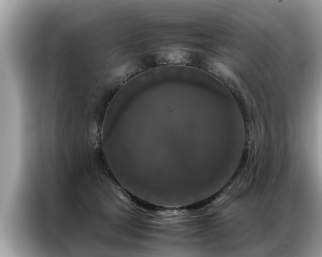 X0000087370465200704271458
