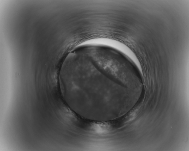 X0000087370466200704271458