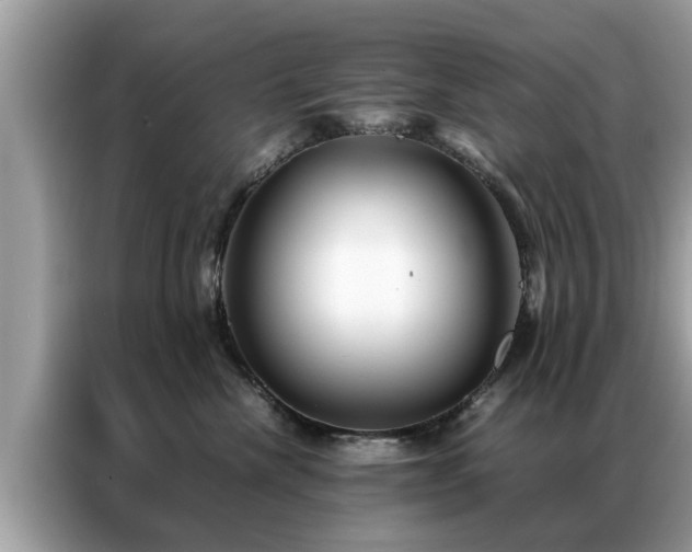 X0000087370476200704271458