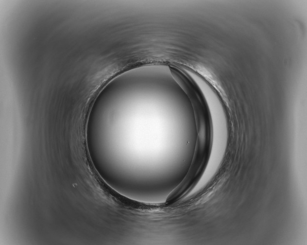 X0000087370481200704271457