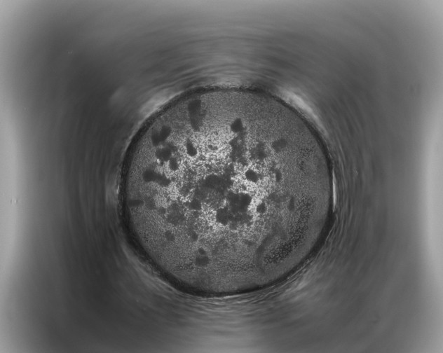 X0000087370483200704271457