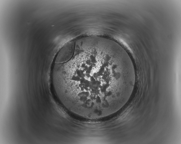 X0000087370487200704271457