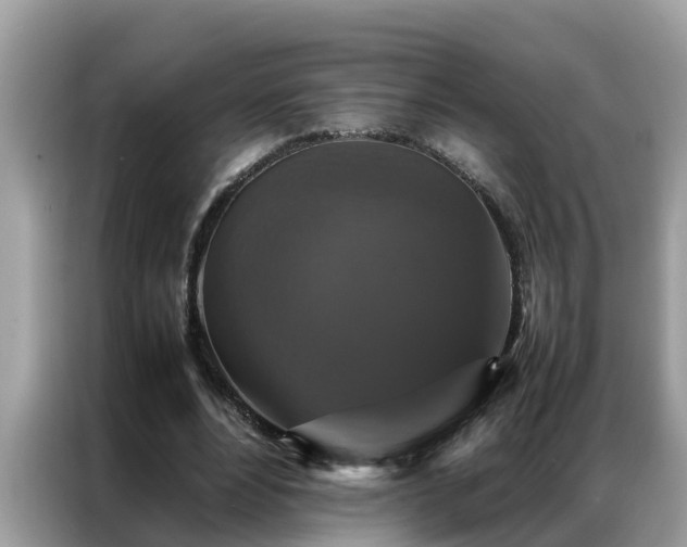 X0000087370488200704271457