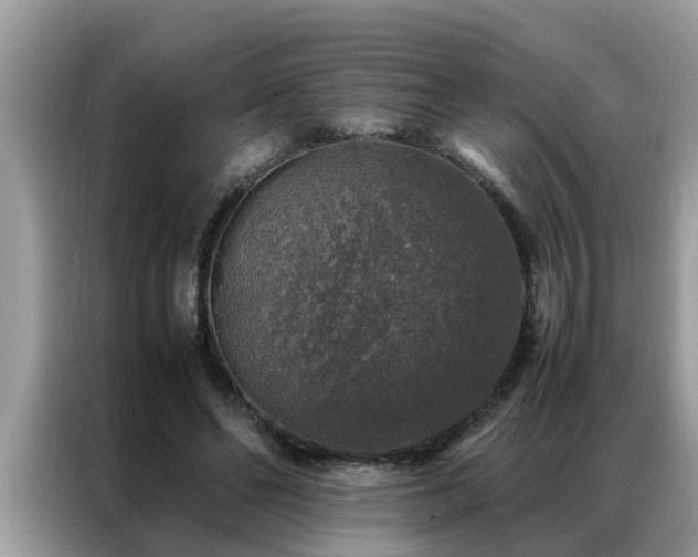 X0000087370494200704271457