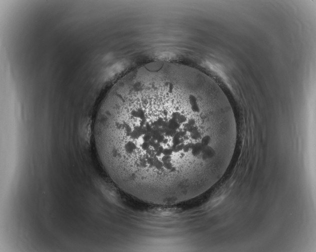 X0000087370495200704271457