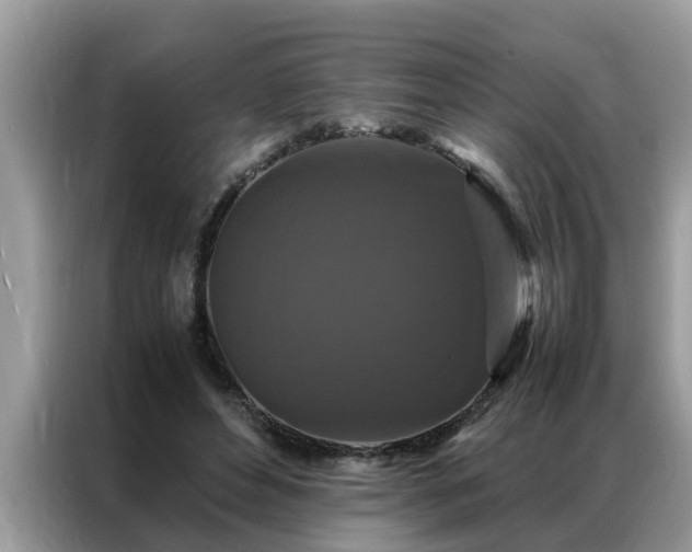 X0000087370496200704271457