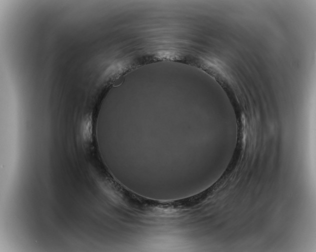 X0000087370502200704271457