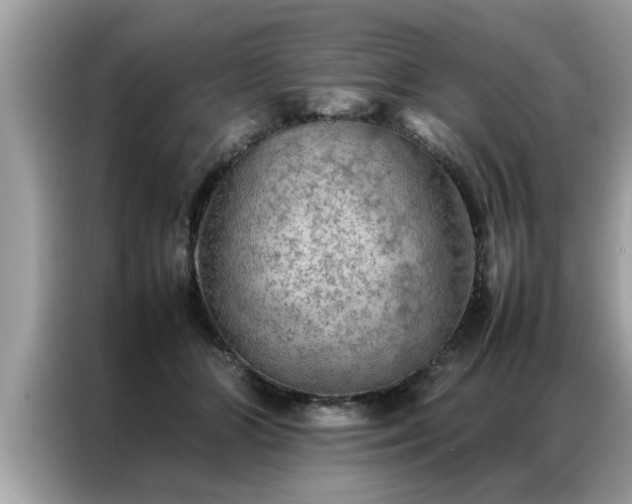 X0000087370510200704271457