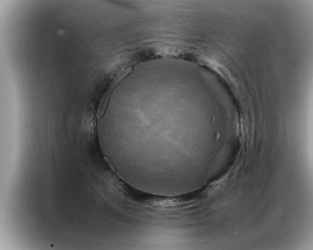 X0000087370513200704271457