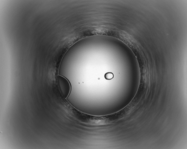 X0000087370514200704271457