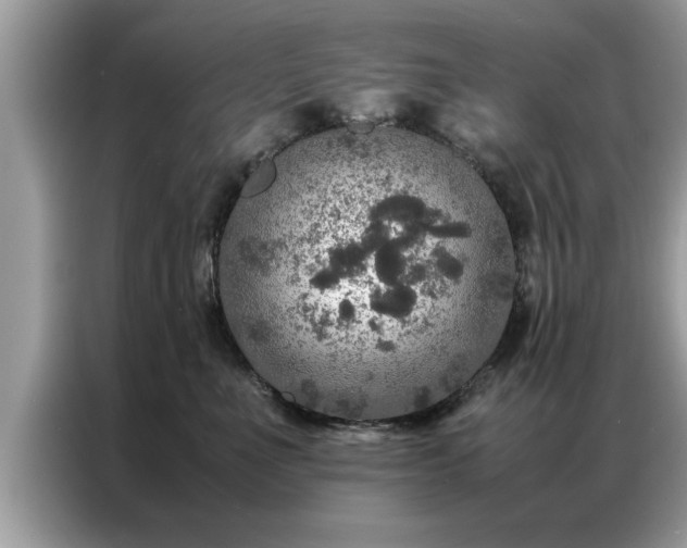 X0000087370523200704271457