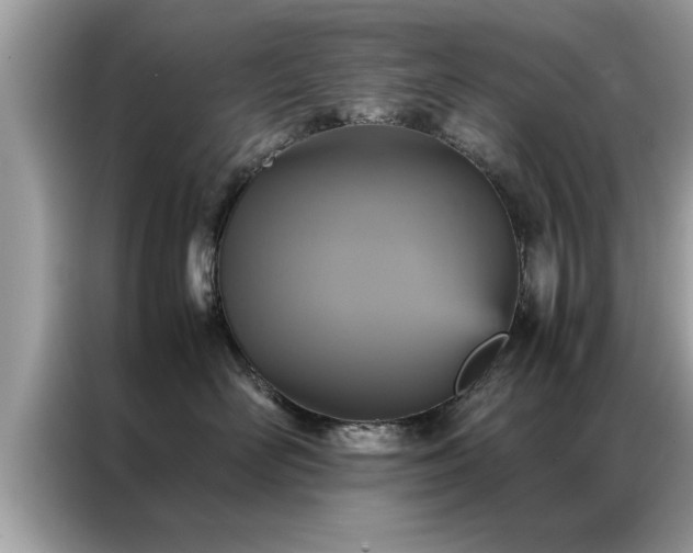 X0000087370526200704271457