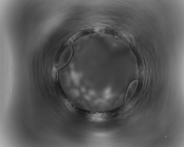 X0000087370527200704271457