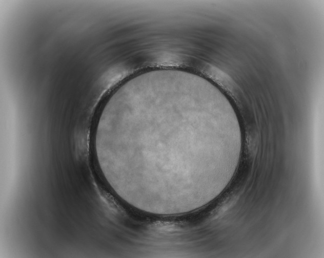 X0000087370534200704271456
