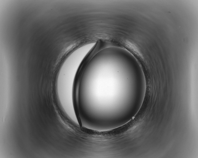 X0000087370538200704271457