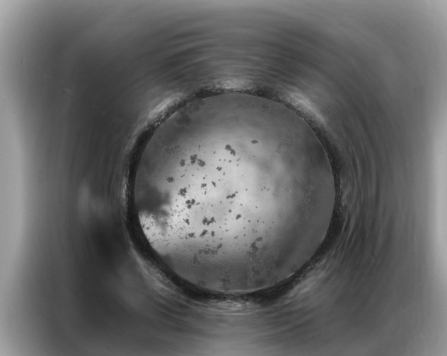 X0000087370542200704271457